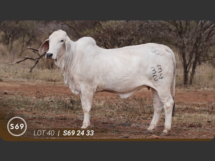 S692433 | JP Sakebelange BK