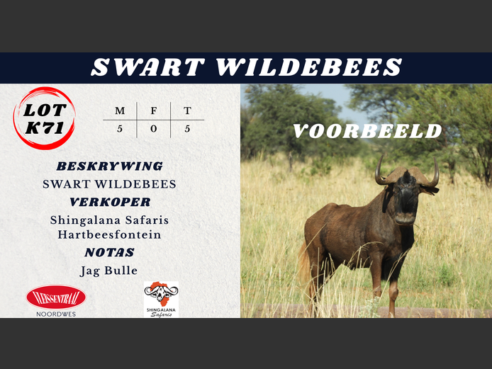 SWART WILDEBEES