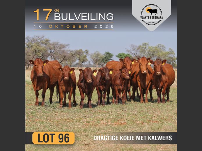 Commercial Animals | Morgan Trading
