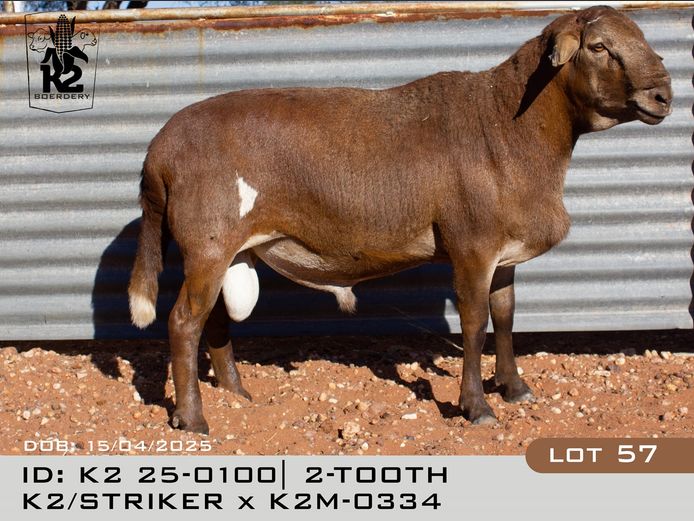 25/0100 | K2 Meatmasters - Japie van Wyk