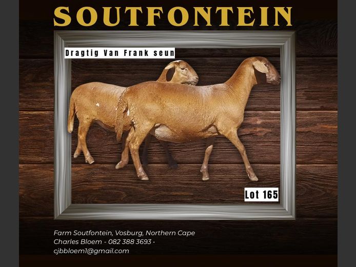 CB 240094 | SOUTFONTEIN MEATMASTERS