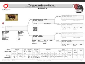 genetic_data
