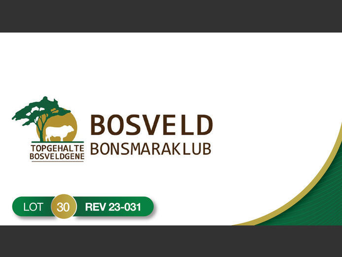 REV230031 | REVELAS BONSMARAS