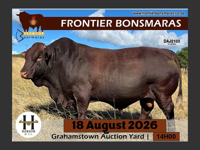 FRONTIER BONSMARA LIVE SCREENING EVENT 