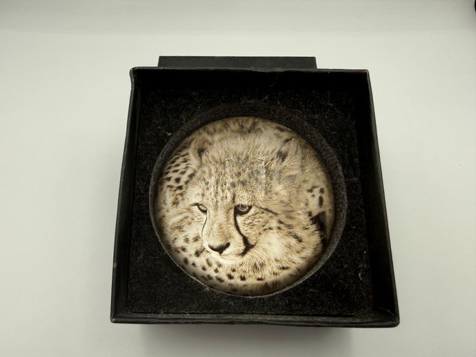 Cheetah paper weight