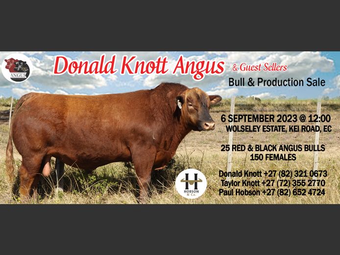 DONALD KNOTT ANGUS & GUEST SELLERS BULL & PRODUCTION SALE