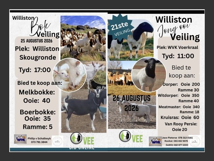 WILLISTON BOK EN JONG OOI SKAAP VEILING