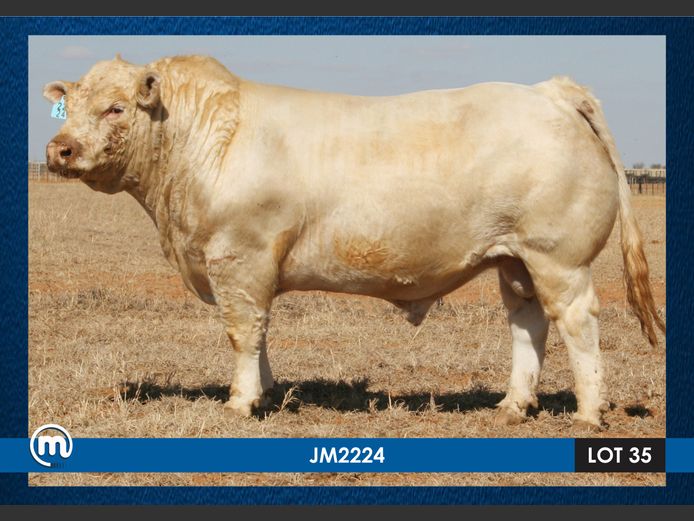 JM 220026