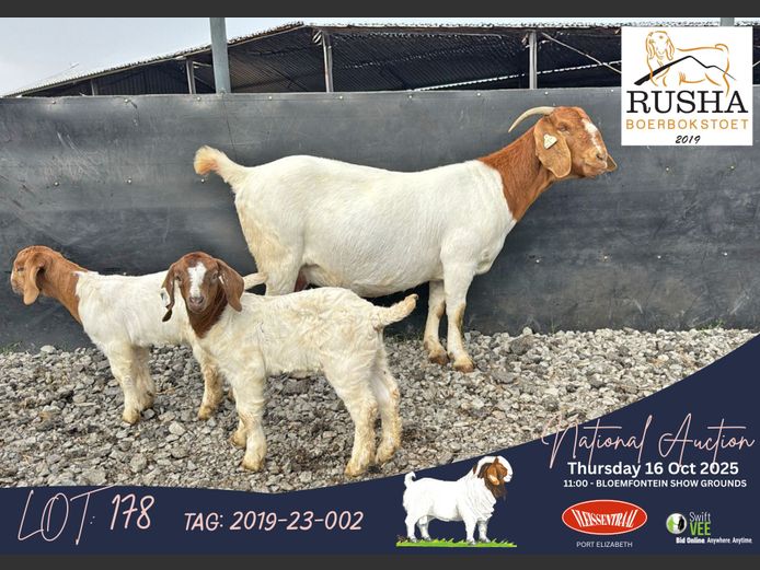2019-23-002 | Jannes du Toit (Rusha Boerbokstoet)