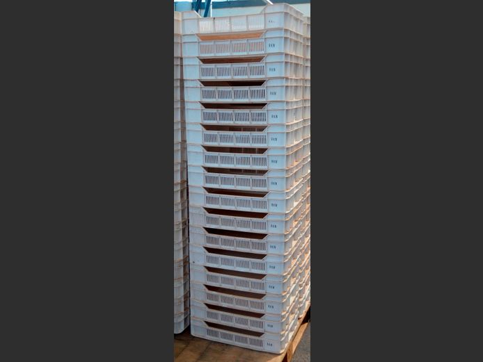 LOT OF 16: PLASTIC FRUIT CRATES