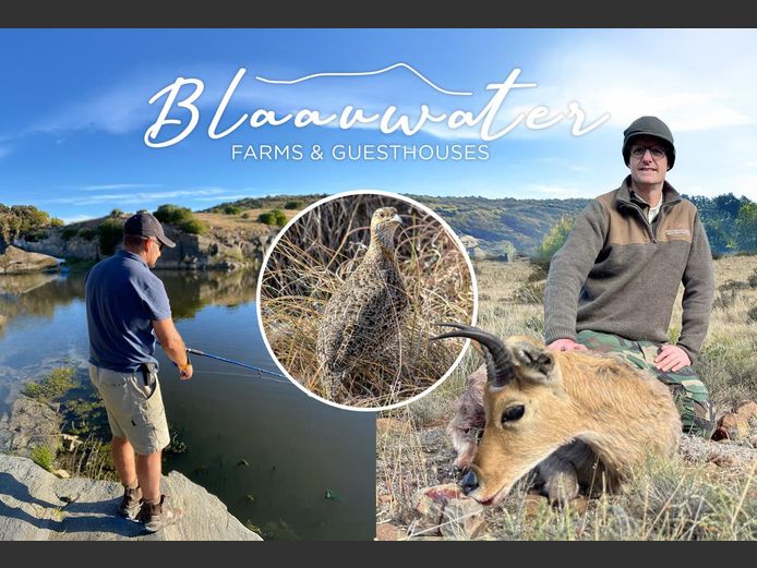 Karoo Mc Nab Challenge for 2 hunters. 1 night accommodation. 2026 Hunting Season | Blaauwater Farms