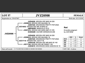 genetic_data