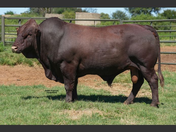 WVZ230074 | THUSO GRAAN EDMS BPK