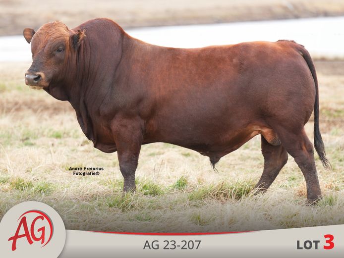 AG230207 | ARTHUR DE VILLIERS & SEUN