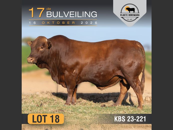 KBS230221 | KAMEELDORING BONSMARA