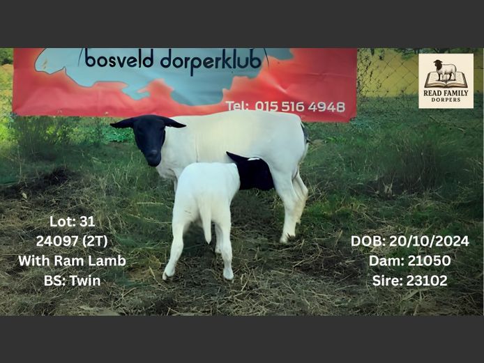 24097 | RAYMOND READ DORPERS