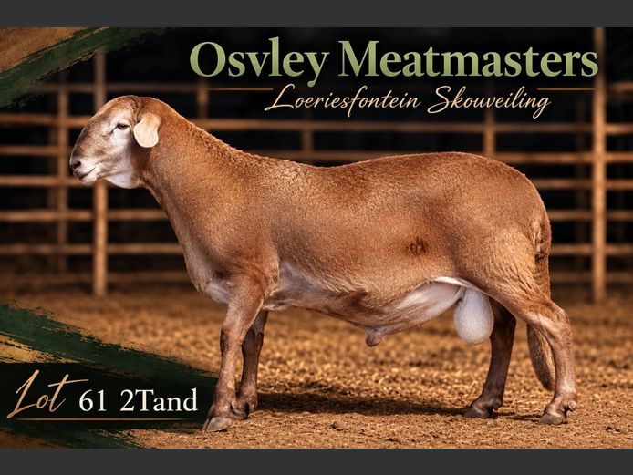 Osvley Meatmasters