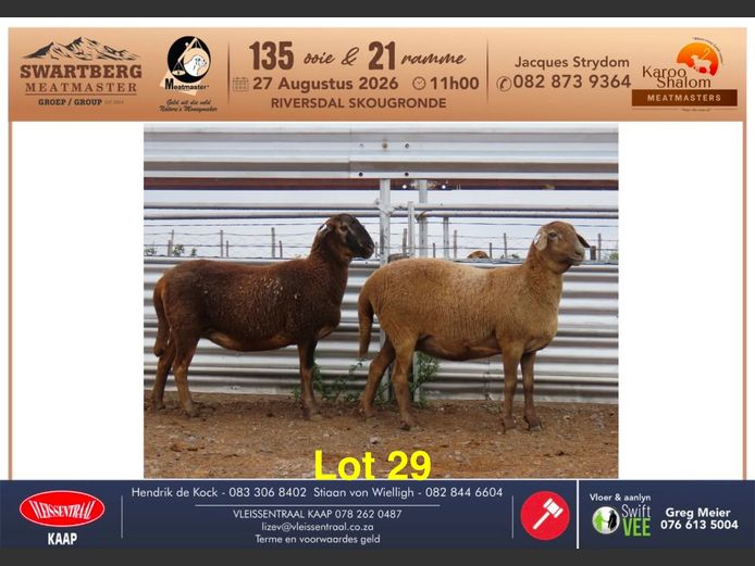 D25.203 | KAROO SHALOM