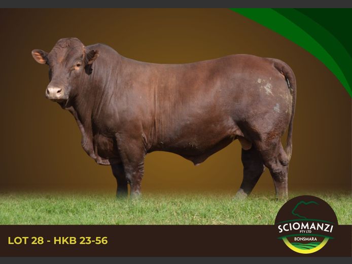 HKB 230056 | SCIOMANZI (PTY) LTD