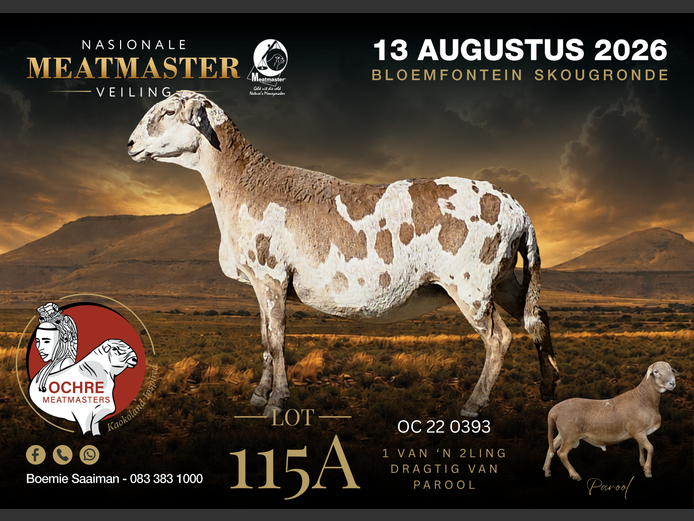 OC 22 0393 | Ochre Meatmasters