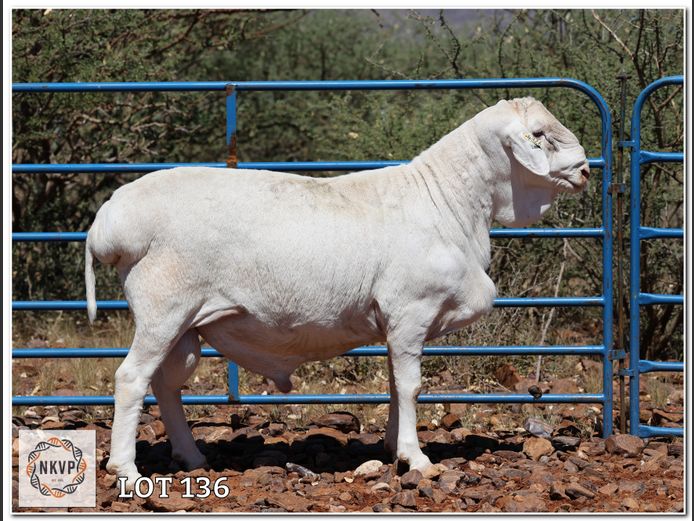 34 24 0326 | LOUIS VAN RENSBURG, H/A LEEUPUT TRUST