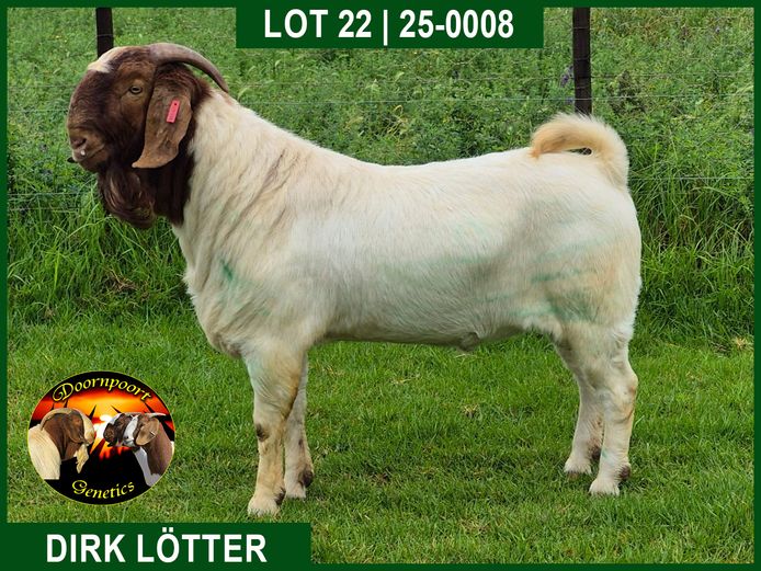 25-0008 | Dirk Lotter