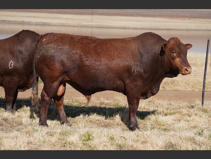 AG220650