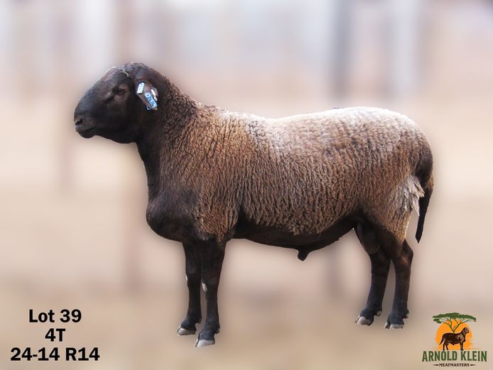 ARNOLD KLEIN MEATMASTERS | 24-14 R14