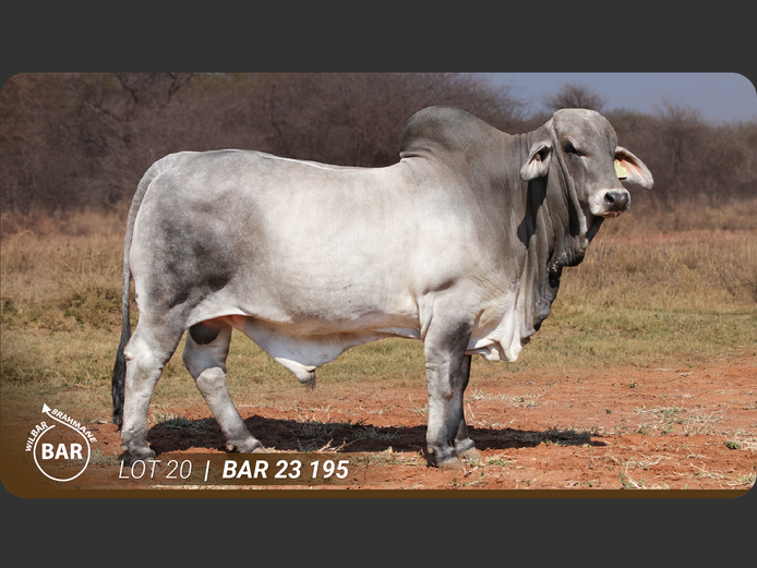 BAR23195 | BARNARD WJ