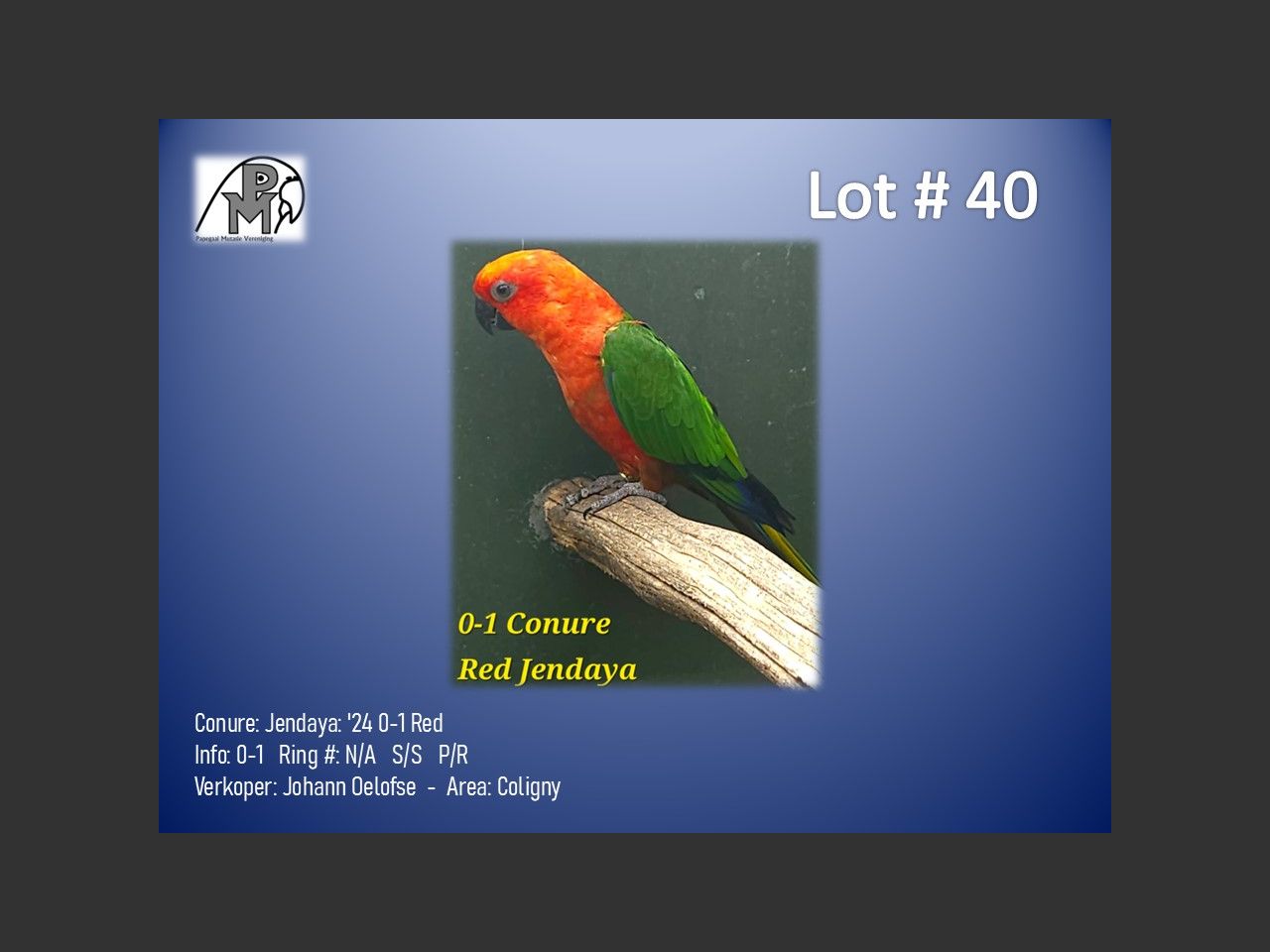 images