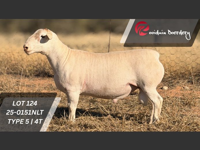 25-0151NLT | ROOIDUIN BOERDERY