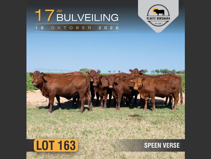 Weaners | Kameeldoring Landgoed
