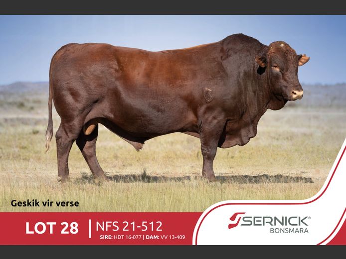 NFS 210512 HH(c) | SERNICK BONSMARA STOET