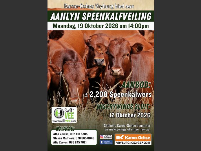 KAROO OCHSE AANLYN SPEENKALFVEILING