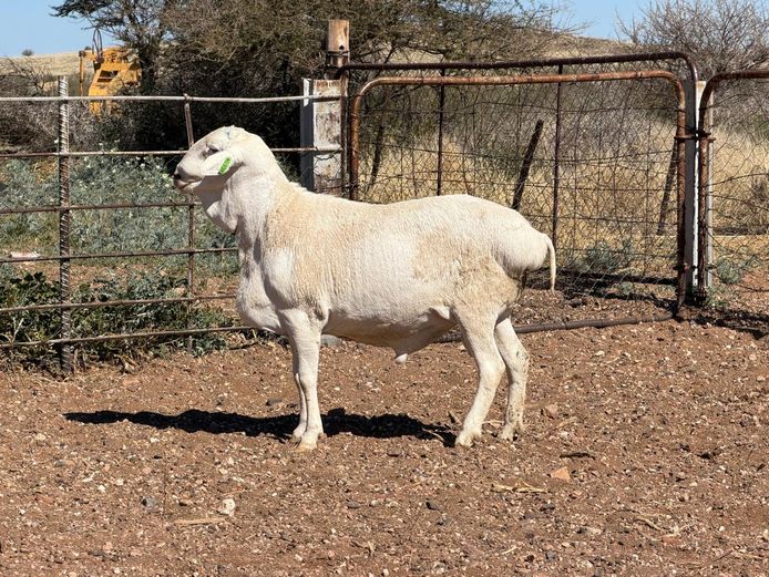 4 - 370 | De Hoop Boedery