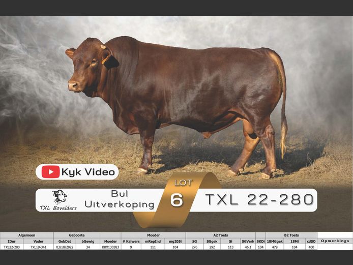 TXL22-280