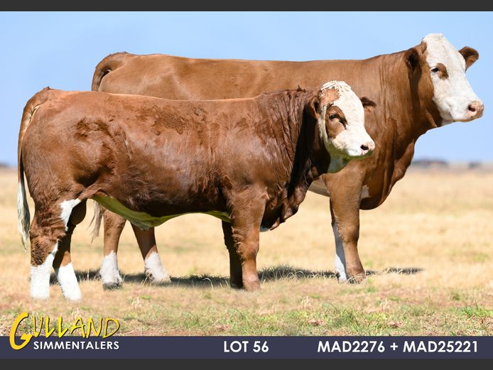MAD2276 | MG DE JAGER
