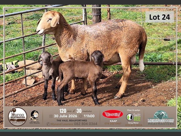LG 046 | Tiaan Lourens - Meiringspoort Meatmasters