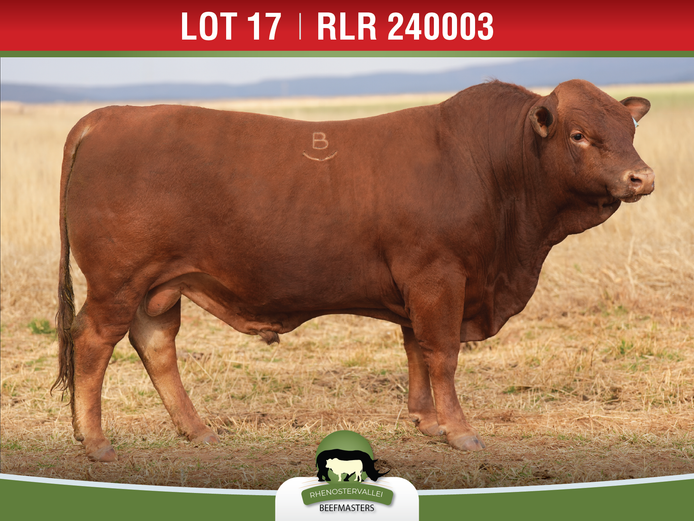 RLR 240003 | J.H. MEYER