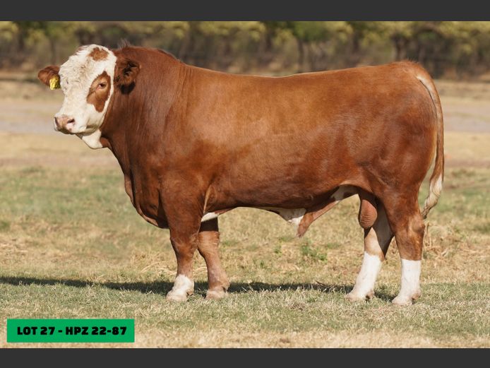 HPZ2287 | JP DU PREEZ BK