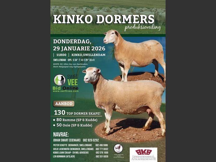 KINKO DORMERS PRODUKSIEVEILING
