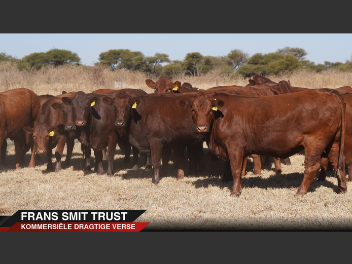 Commercial Animals | Frans Smit Trust -
Marble Hall



