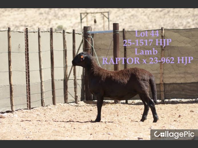 25-1517 HJP | 25-1525 HJP | SORENTO MEATMASTERS