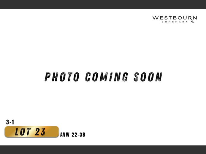 AVW220038 | WESTBOURN BONSMARAS