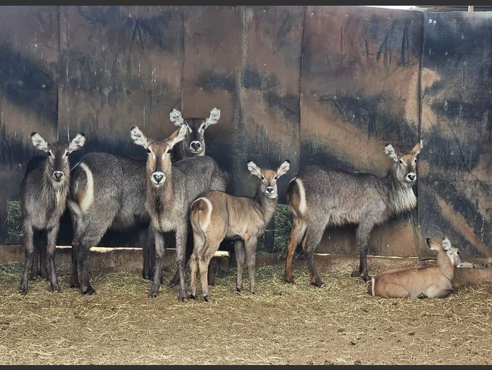 WATERBOK | WATERBERG AVIATION