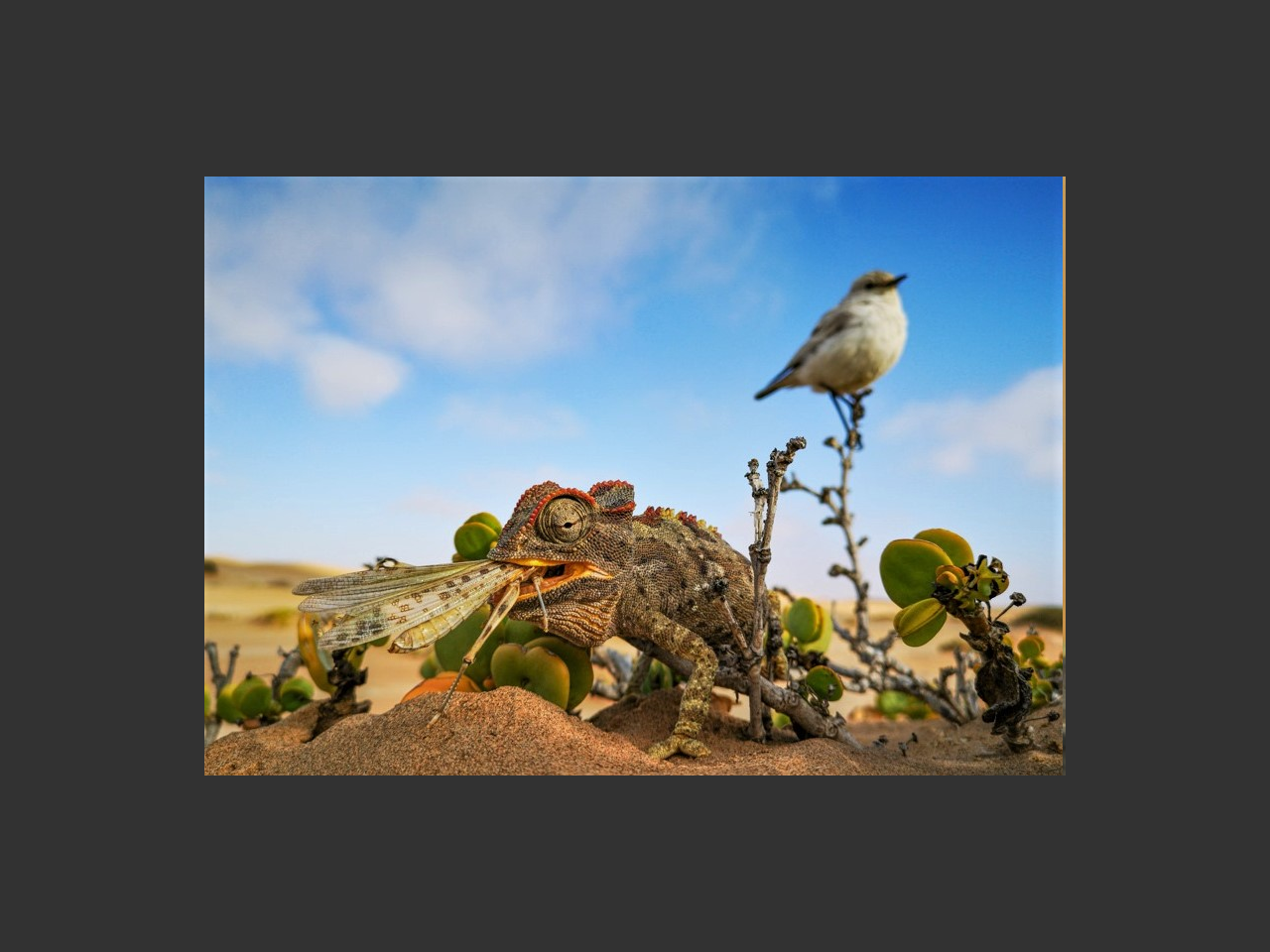 images