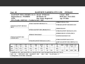 genetic_data