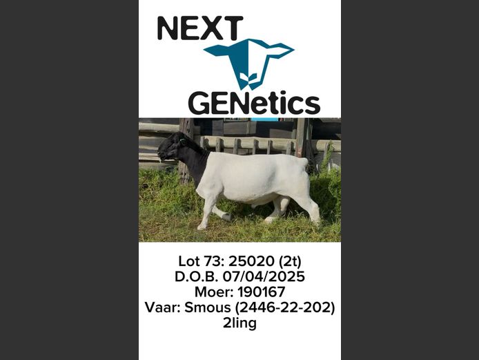 25020 | NEXT GENETICS