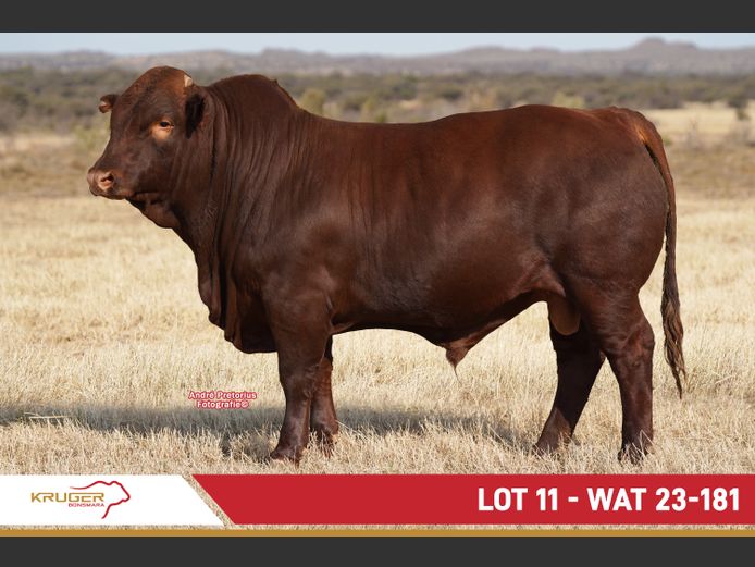 WAT230181 | KRUGER BOERDERY