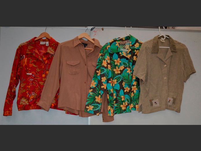 LOT OF 4 LADIES SHIRTS: DANIEL HECHTER, PEAR, BRECKENRIDGE & LIFESTYLE [Sizes: L & XL]